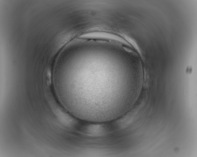 X0000091300061200708172217