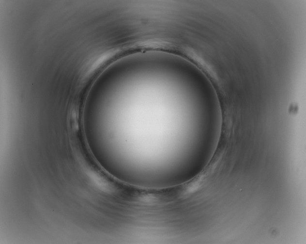 X0000091300062200708172217