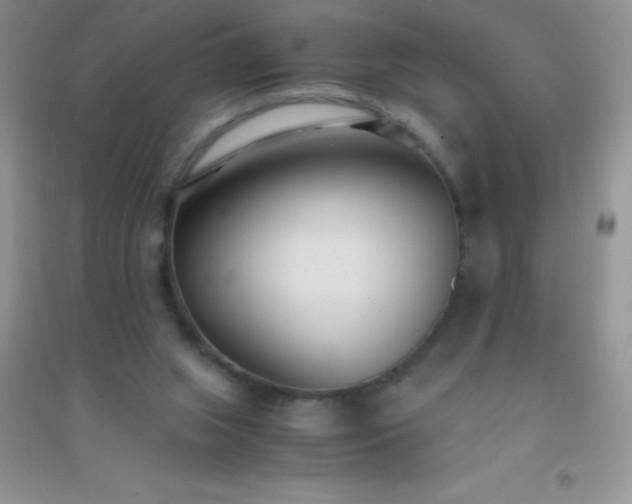 X0000091300063200708172217