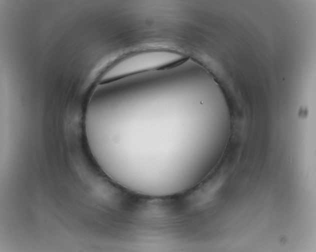 X0000091300064200708172217