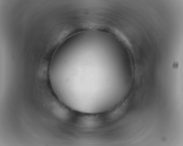 X0000091300065200708172217