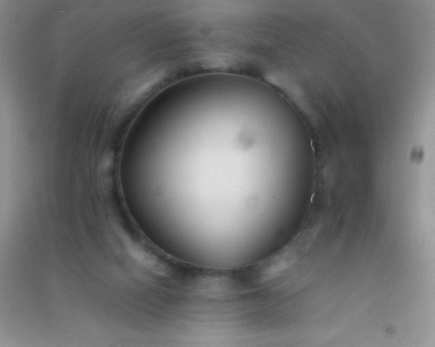 X0000091300066200708172217