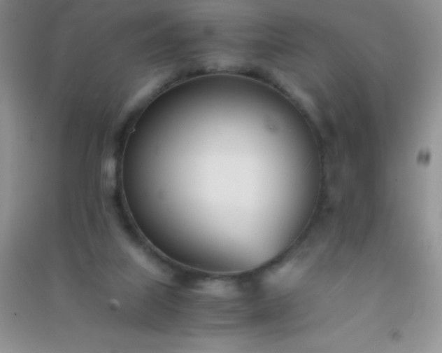 X0000091300067200708172217