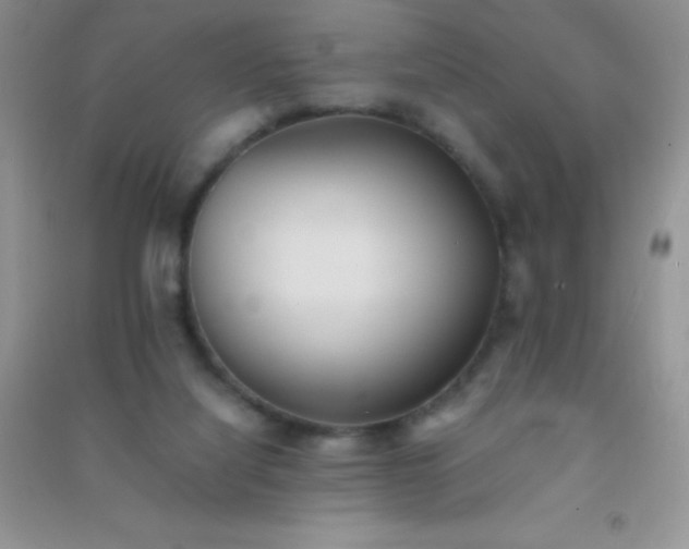 X0000091300068200708172217