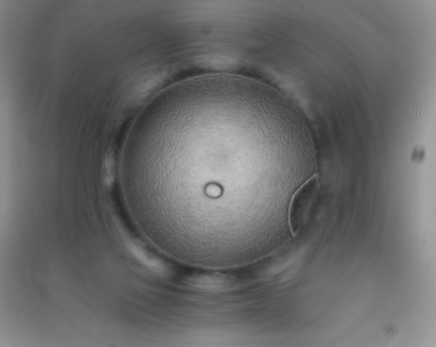 X0000091300069200708172217