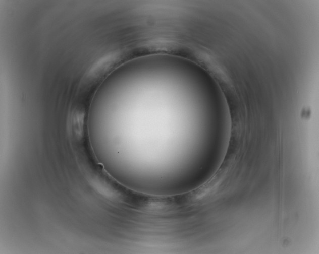 X0000091300070200708172217