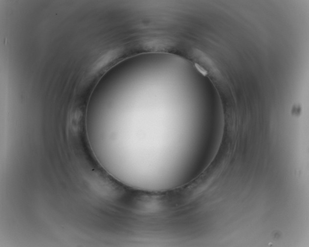 X0000091300071200708172217