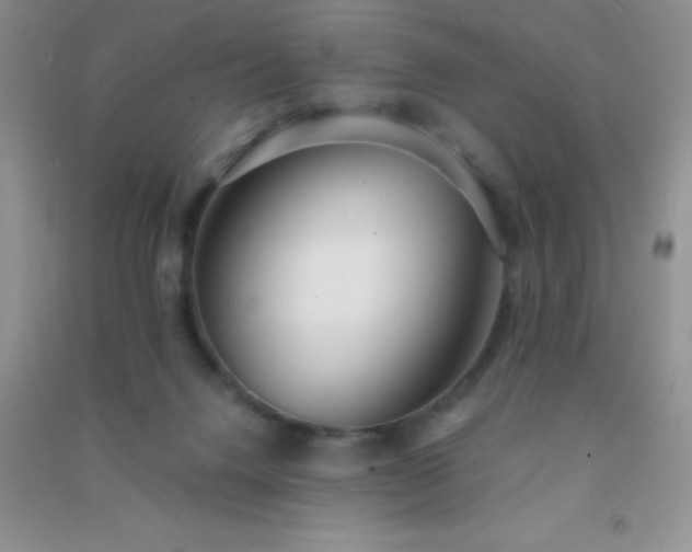 X0000091300072200708172217