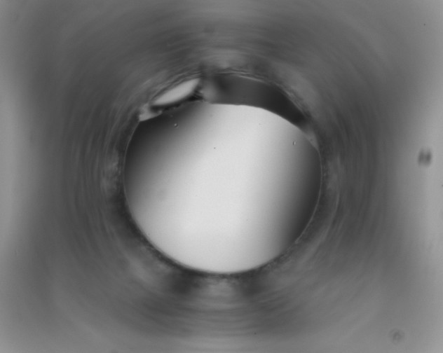 X0000091300073200708172217