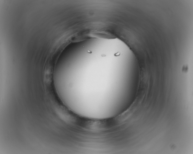 X0000091300074200708172217