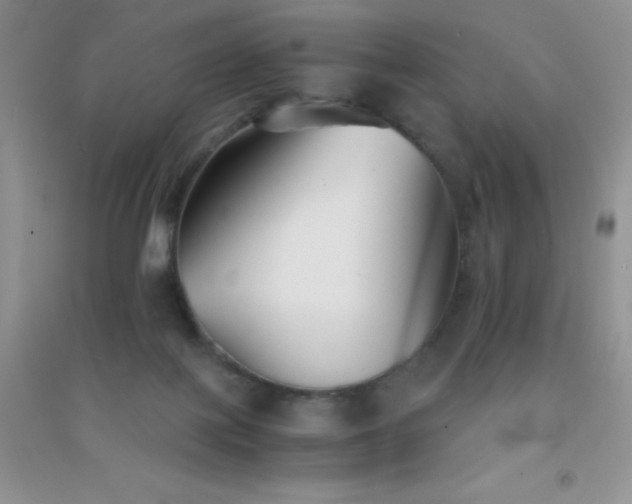 X0000091300075200708172217