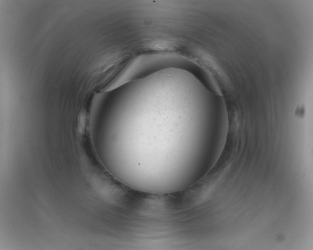 X0000091300076200708172217