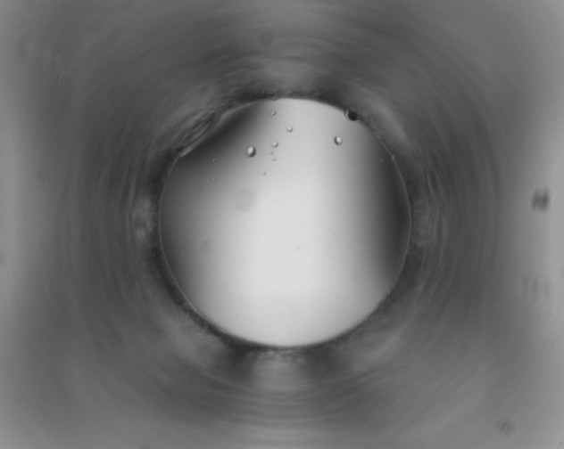 X0000091300077200708172217