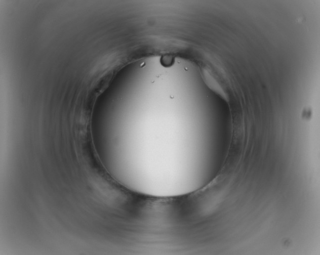 X0000091300078200708172217