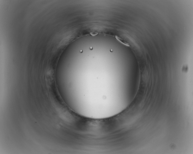 X0000091300079200708172217