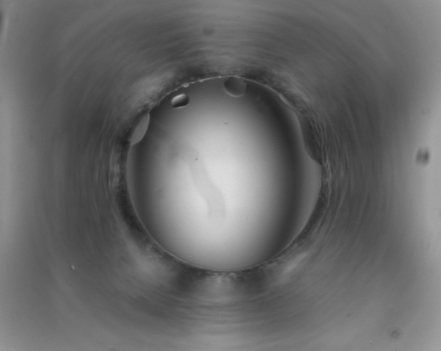 X0000091300080200708172217