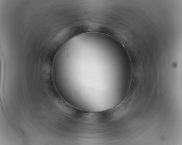 X0000091300082200708172217