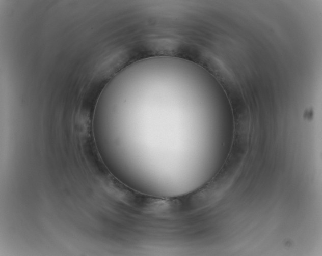 X0000091300083200708172217