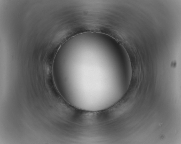 X0000091300084200708172217