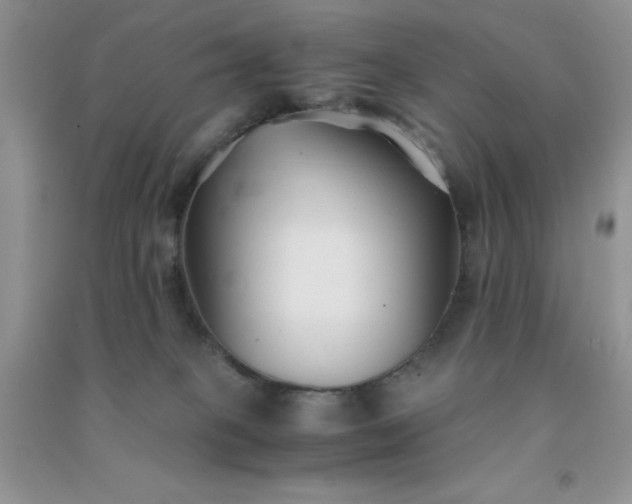 X0000091300085200708172217