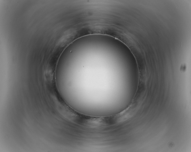 X0000091300086200708172217