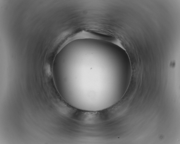 X0000091300089200708172217