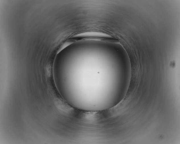 X0000091300090200708172217