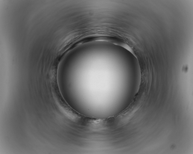 X0000091300092200708172217