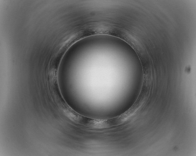 X0000091300093200708172217