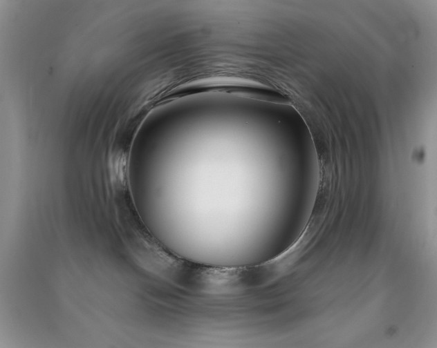 X0000091300094200708172217