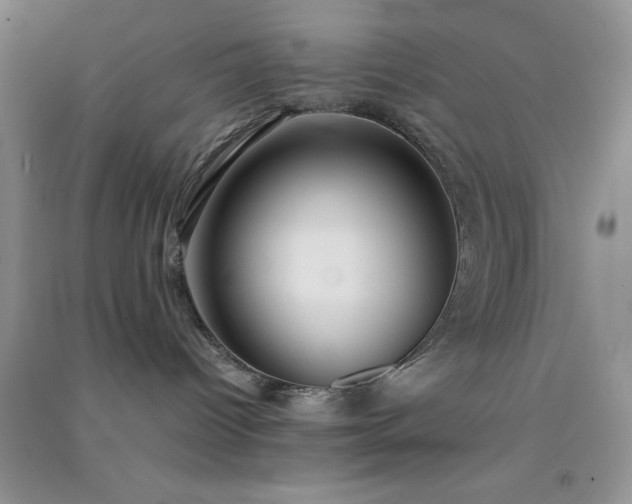 X0000091300096200708172217