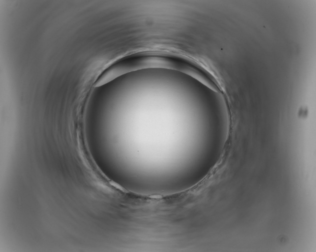 X0000091300097200708172216