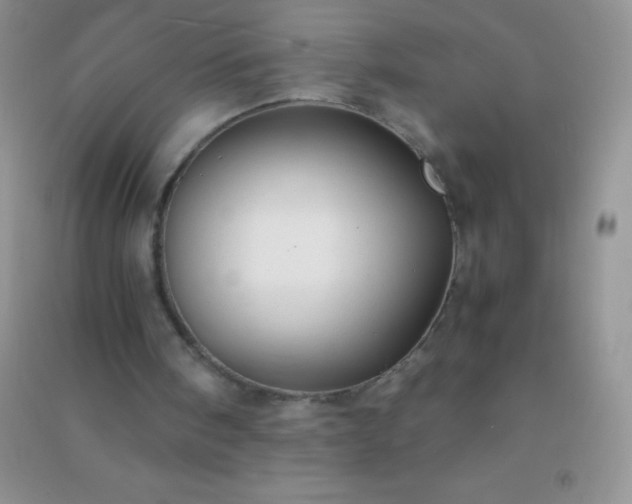 X0000091300098200708172216