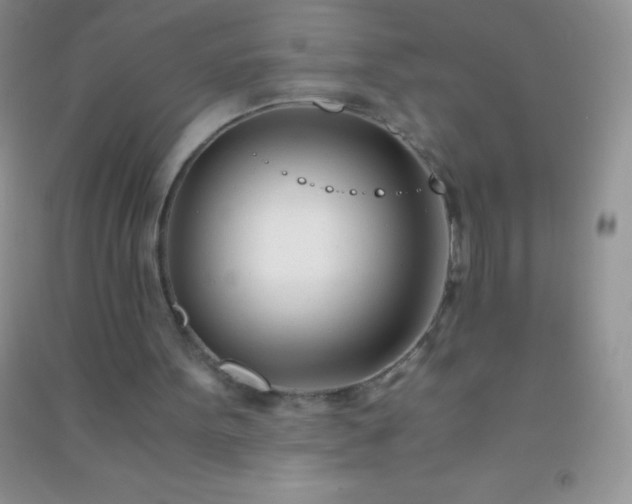 X0000091300099200708172216