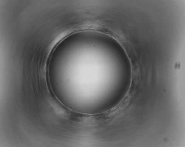 X0000091300100200708172216