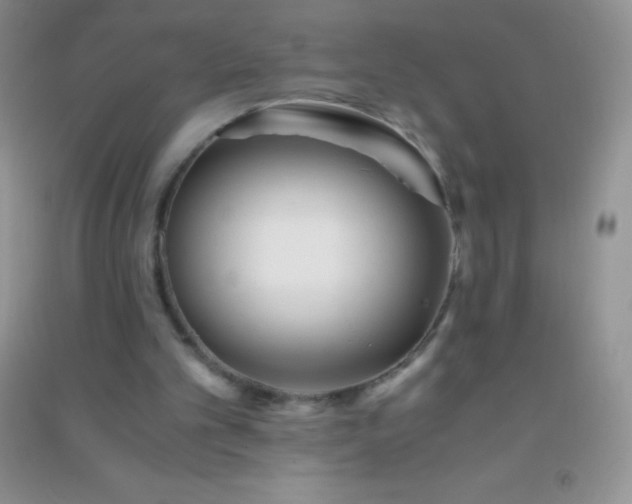 X0000091300101200708172216