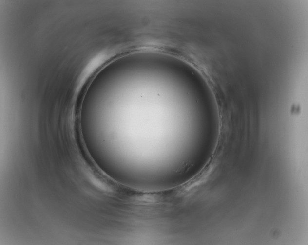 X0000091300102200708172216