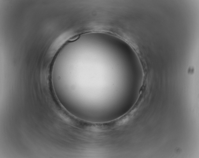 X0000091300103200708172216