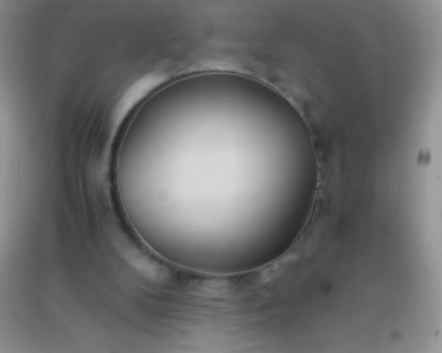 X0000091300104200708172216