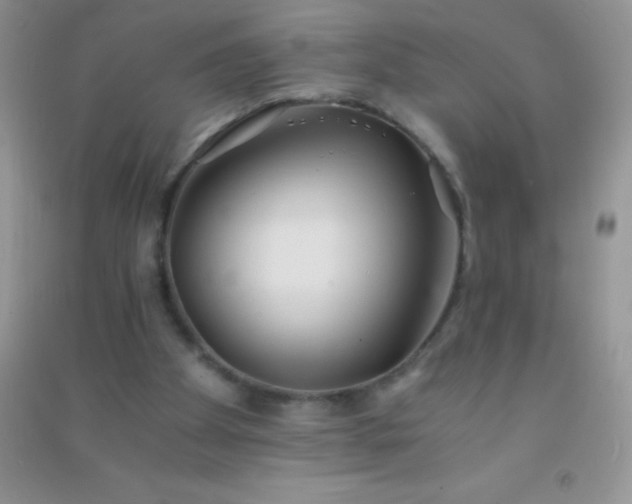 X0000091300105200708172216