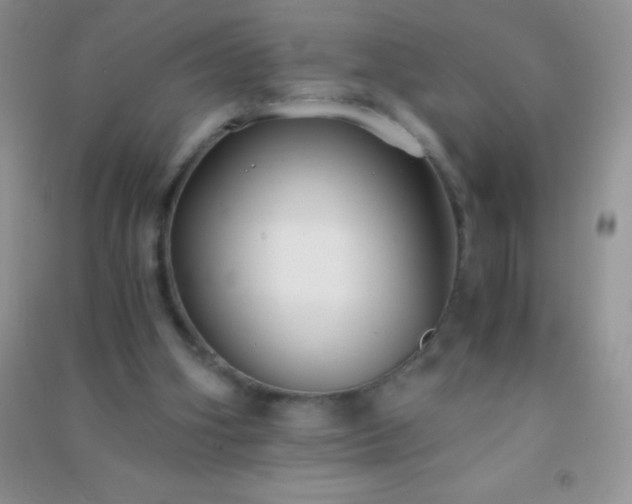 X0000091300106200708172216