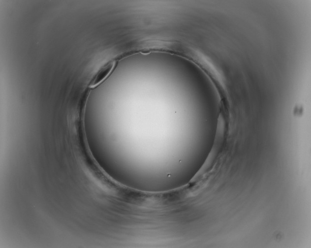 X0000091300107200708172216