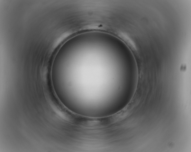 X0000091300108200708172216