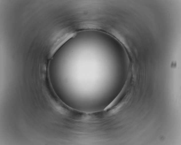 X0000091300109200708172216