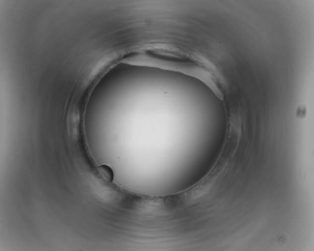 X0000091300110200708172216