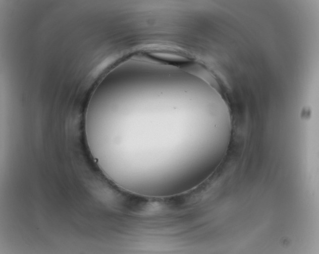 X0000091300111200708172216