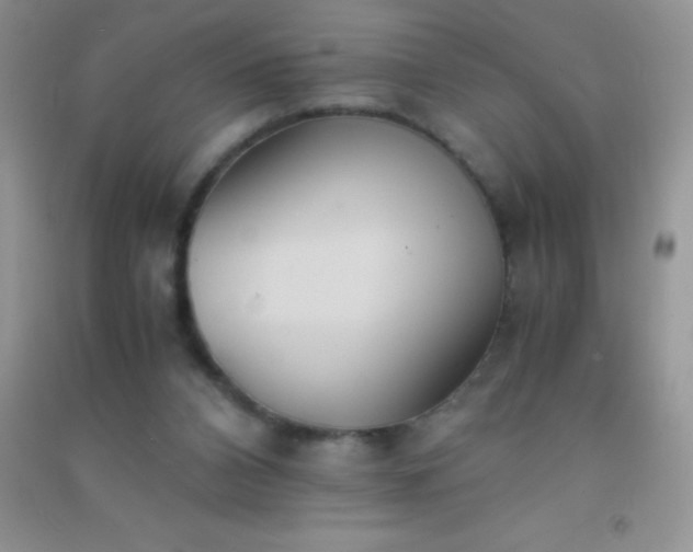 X0000091300112200708172216