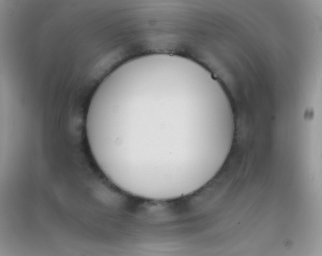 X0000091300113200708172216