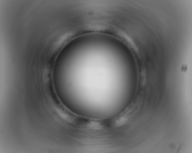 X0000091300114200708172216