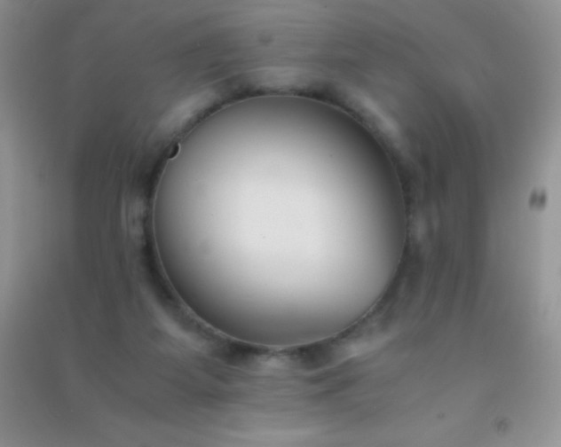 X0000091300115200708172216